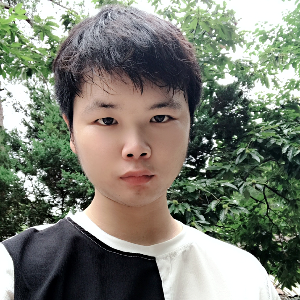 还能遇见谁的照片