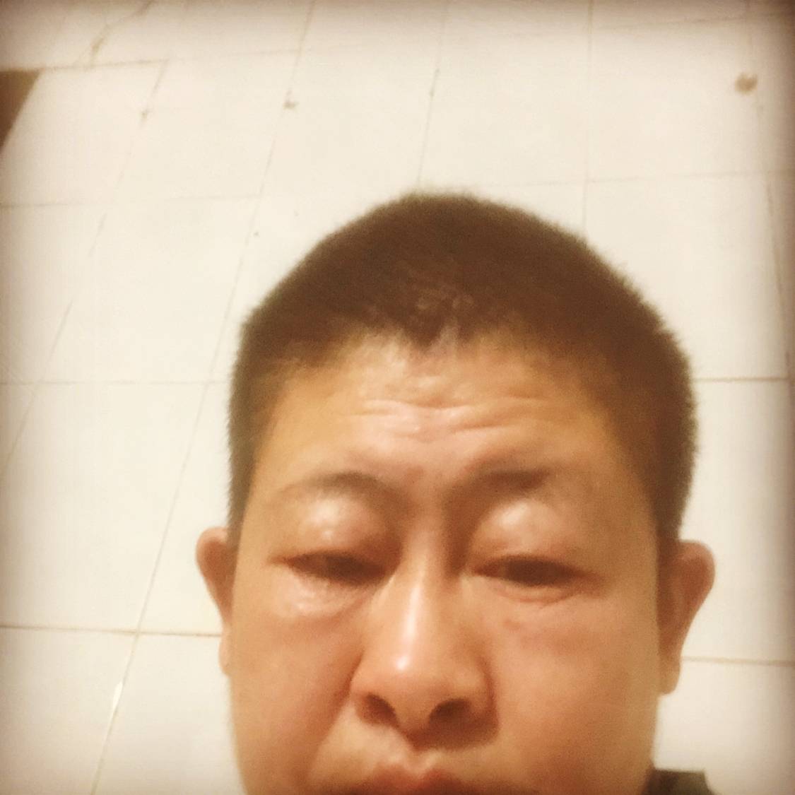 复杂凝眸野狼的照片