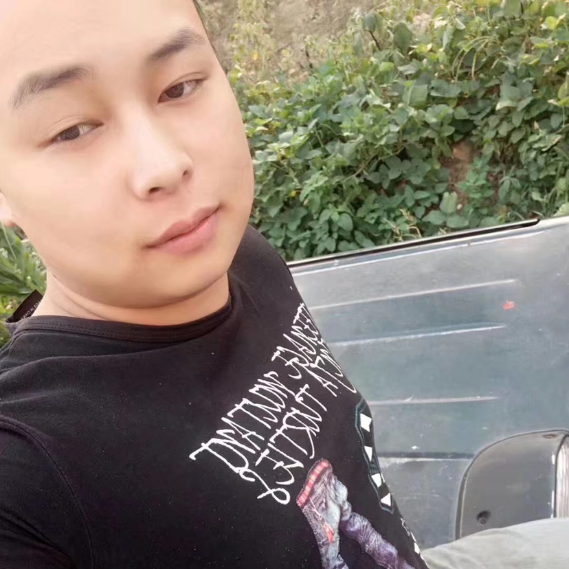 聪慧倾心蜗牛的照片