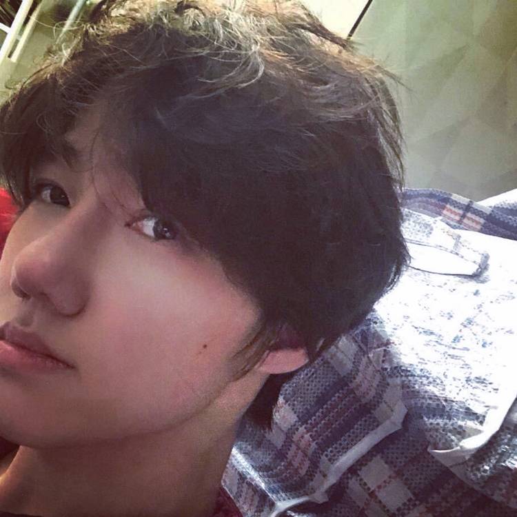 芒果坏了的照片