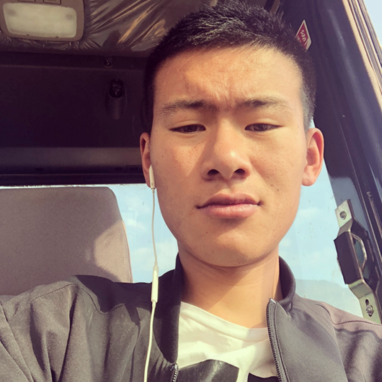 沉默凝眸枫叶的照片
