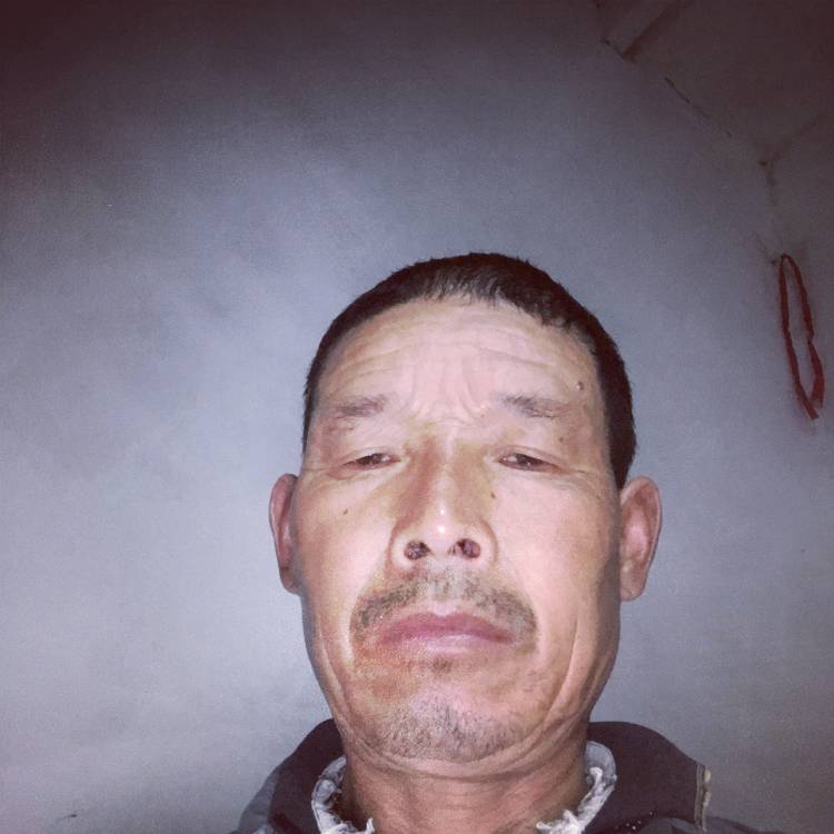 多情蝶衣风调雨顺的照片