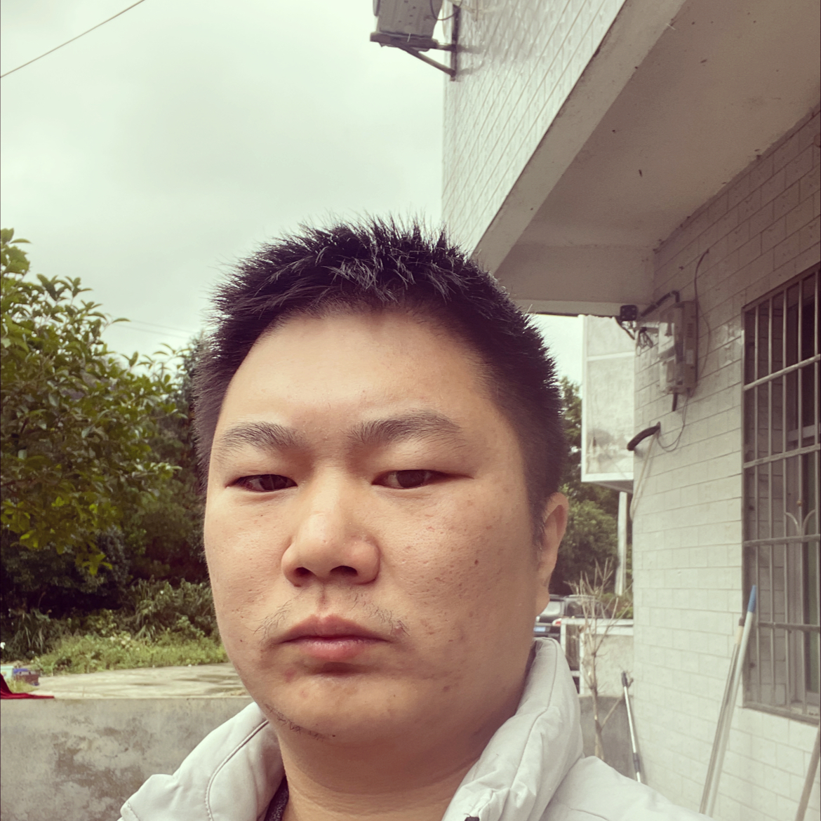 鸿林01的照片