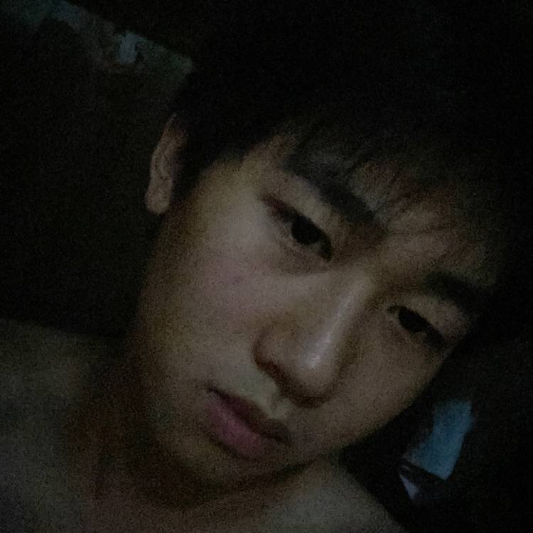 枯木逢春的照片