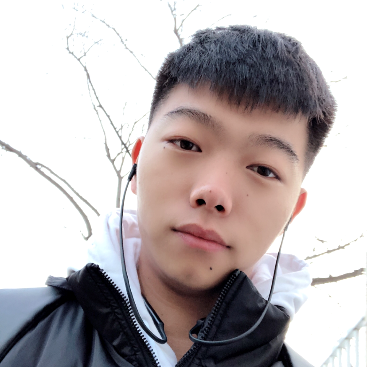 这个年纪cyt的照片