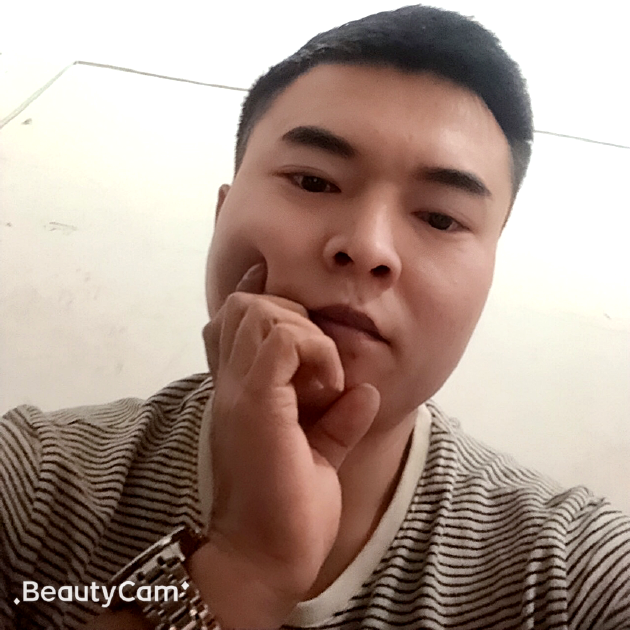 忘忧迎魁梧的照片