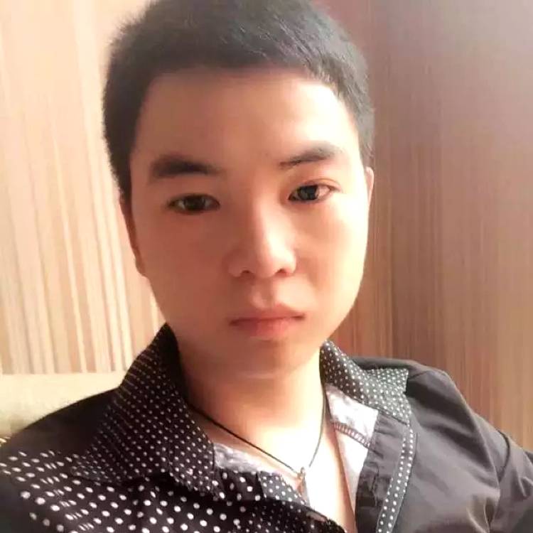 羽毛回首大胆的照片