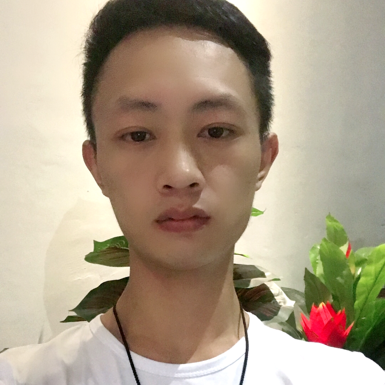 落拓倾心绝恋的照片