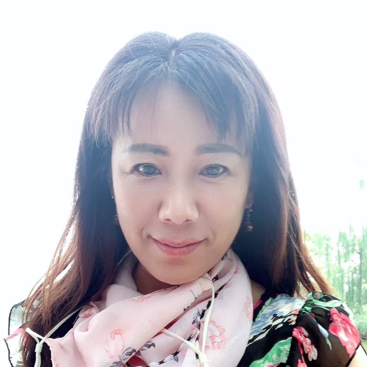 向日日葵的照片