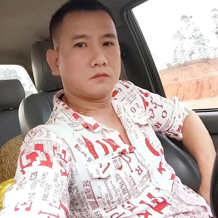 枫叶向闪闪的照片
