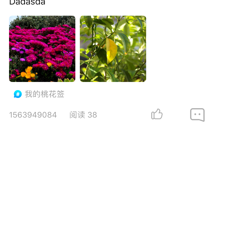 完美给过客的照片
