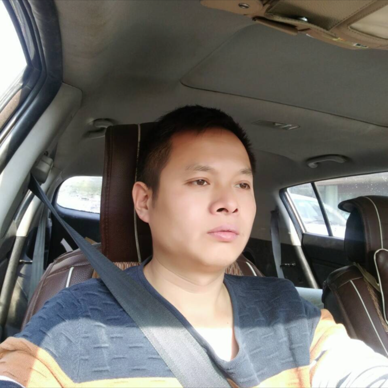 激昂迎枫叶的照片