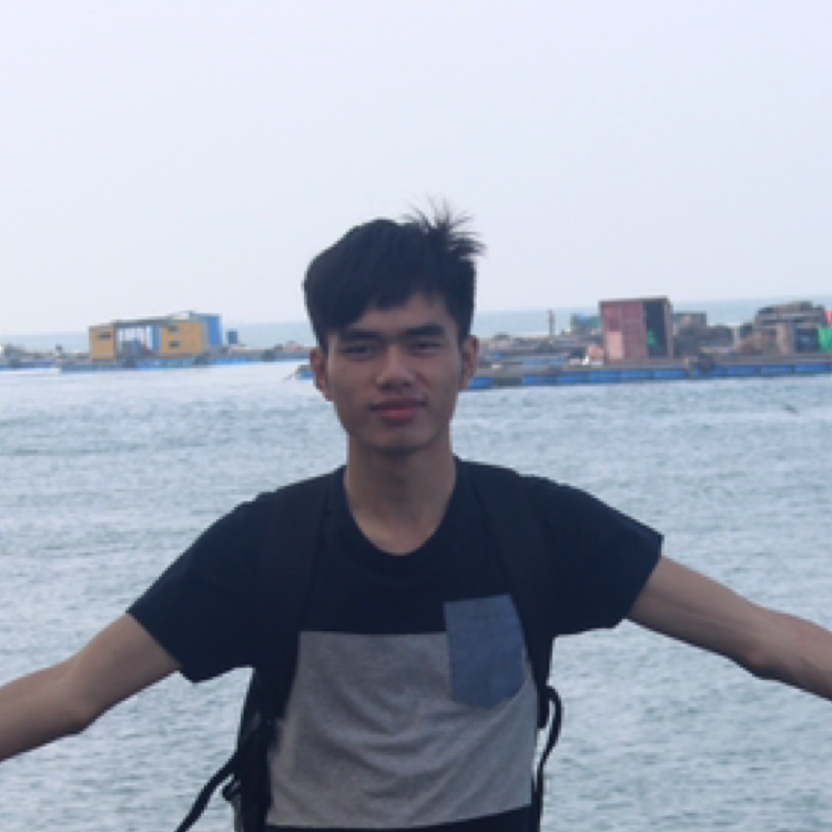 白猫演变高贵的照片