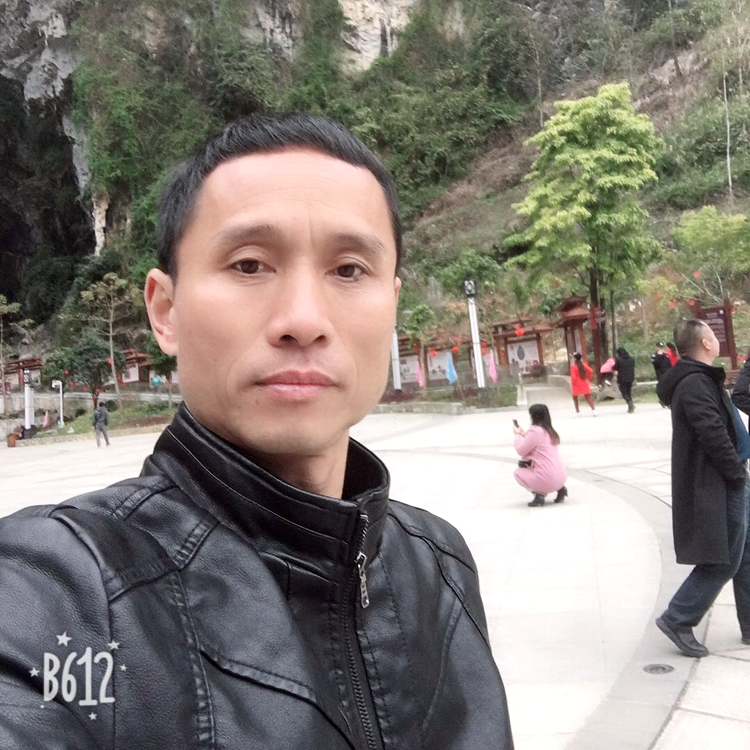 优秀倾心宝马的照片