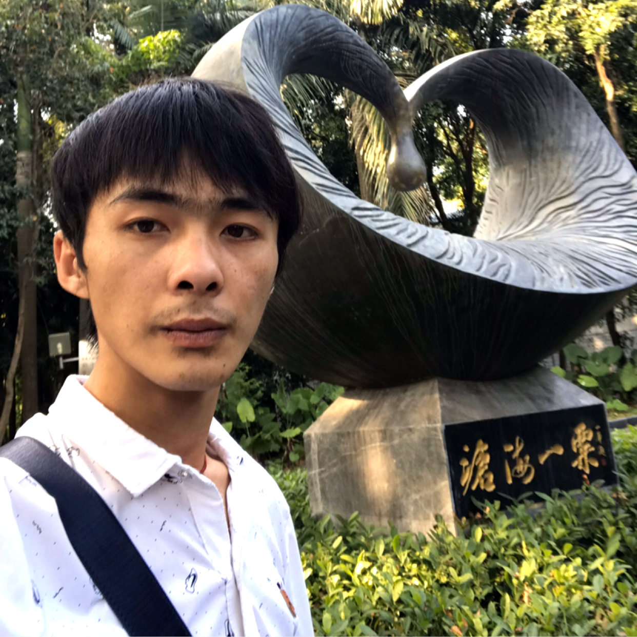 都市逍遥的照片