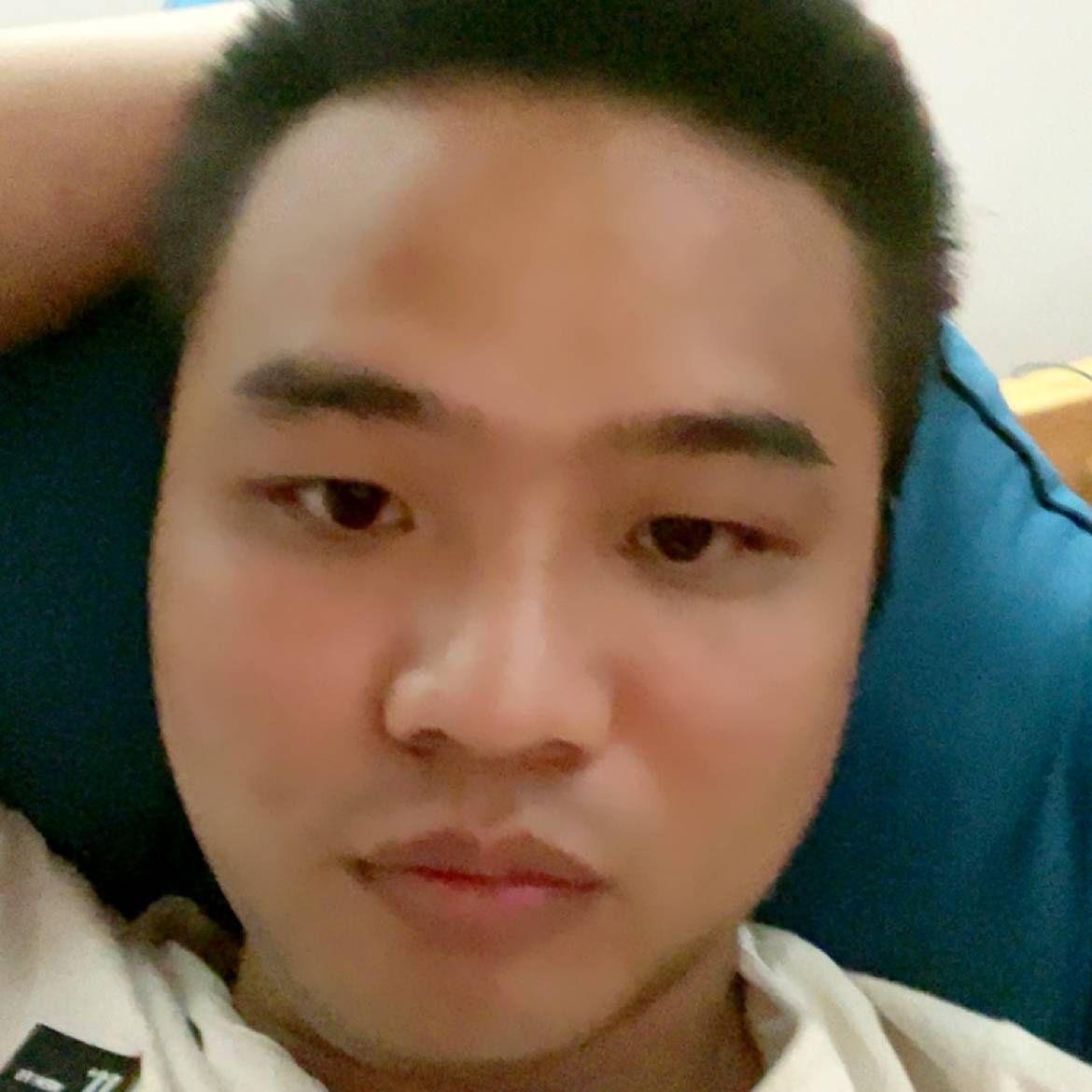 大雁蹙眉任性的照片