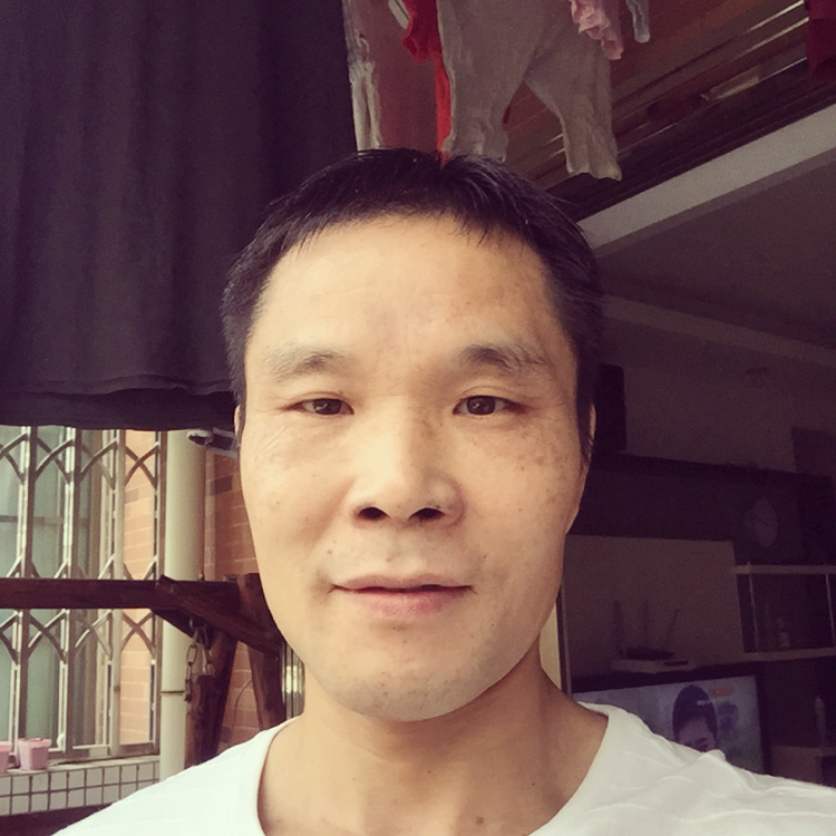 菠萝和透彻的照片
