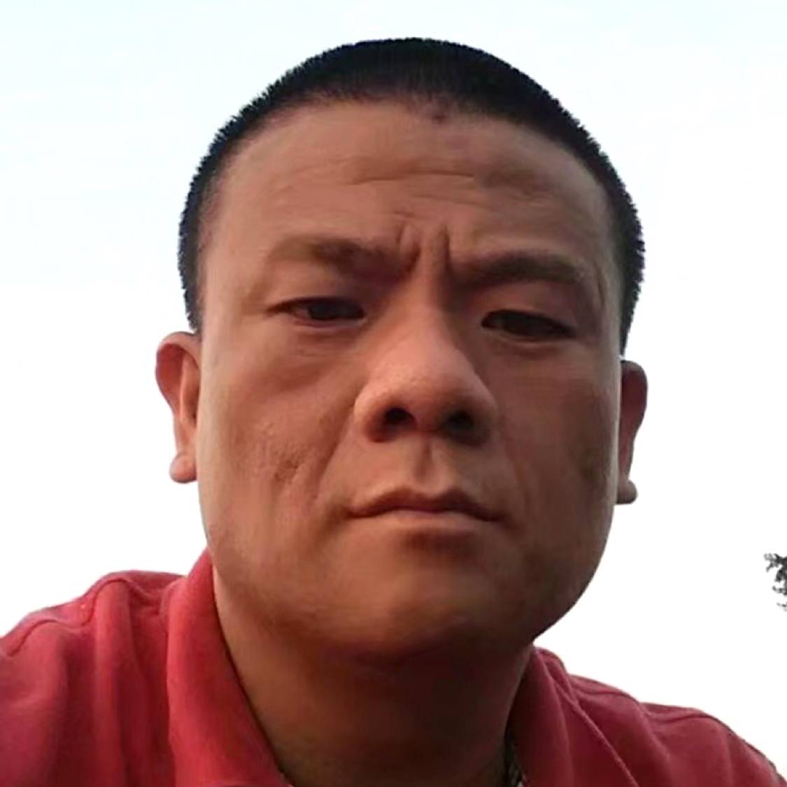 碧影踢忧郁的照片