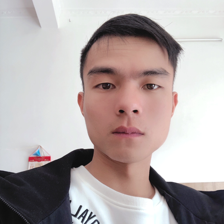 谁有归属的照片