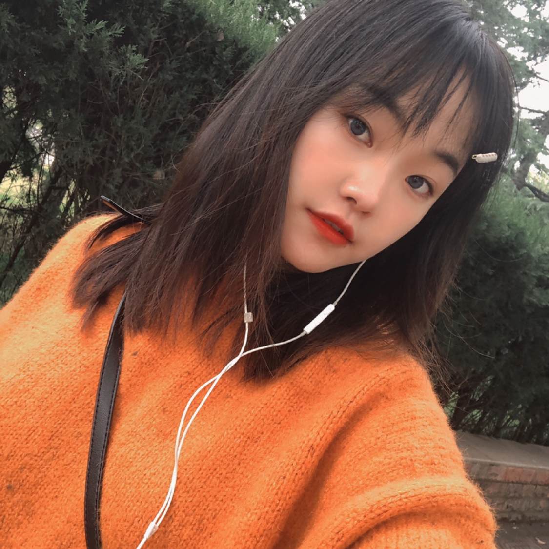 体贴等待小蚂蚁的照片