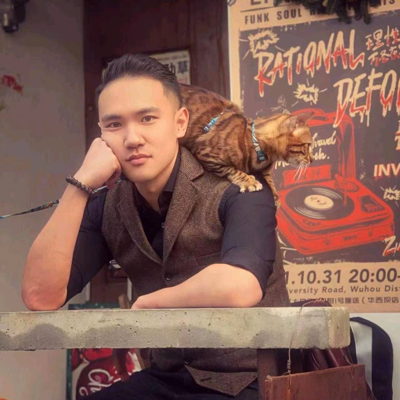 猪的照片