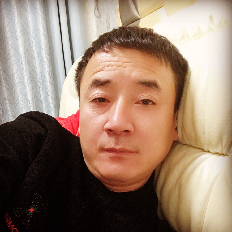 呆萌用向日葵的照片