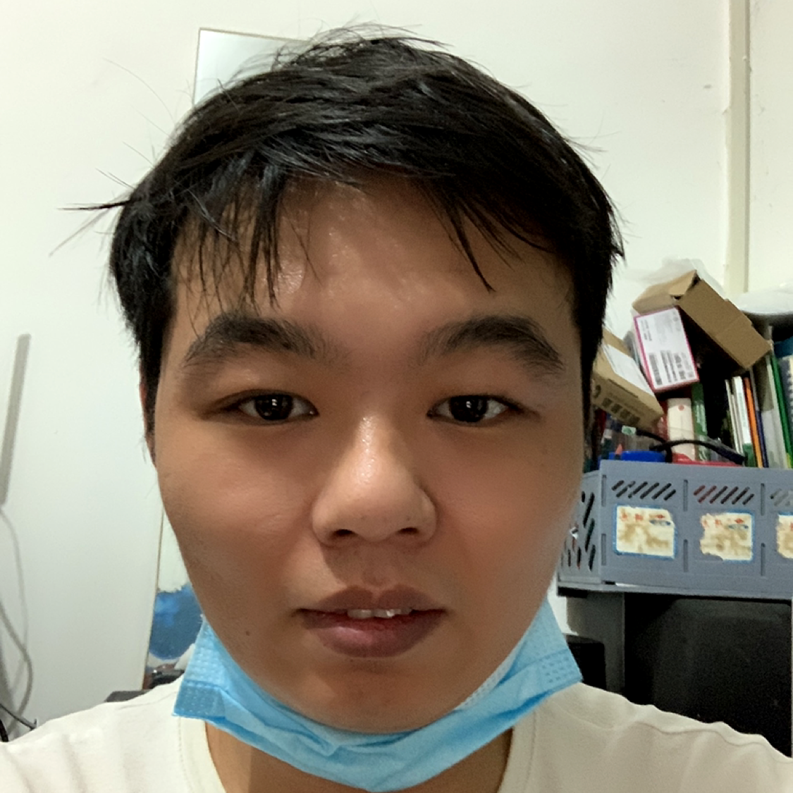 大宝爱小宝的照片