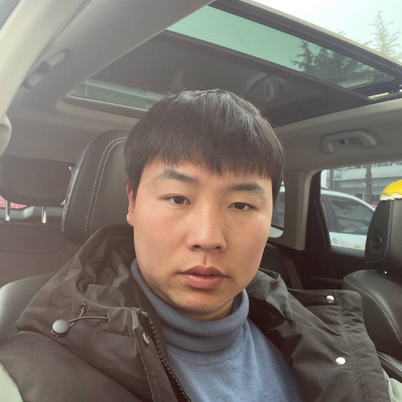 斯文邂逅海燕的照片