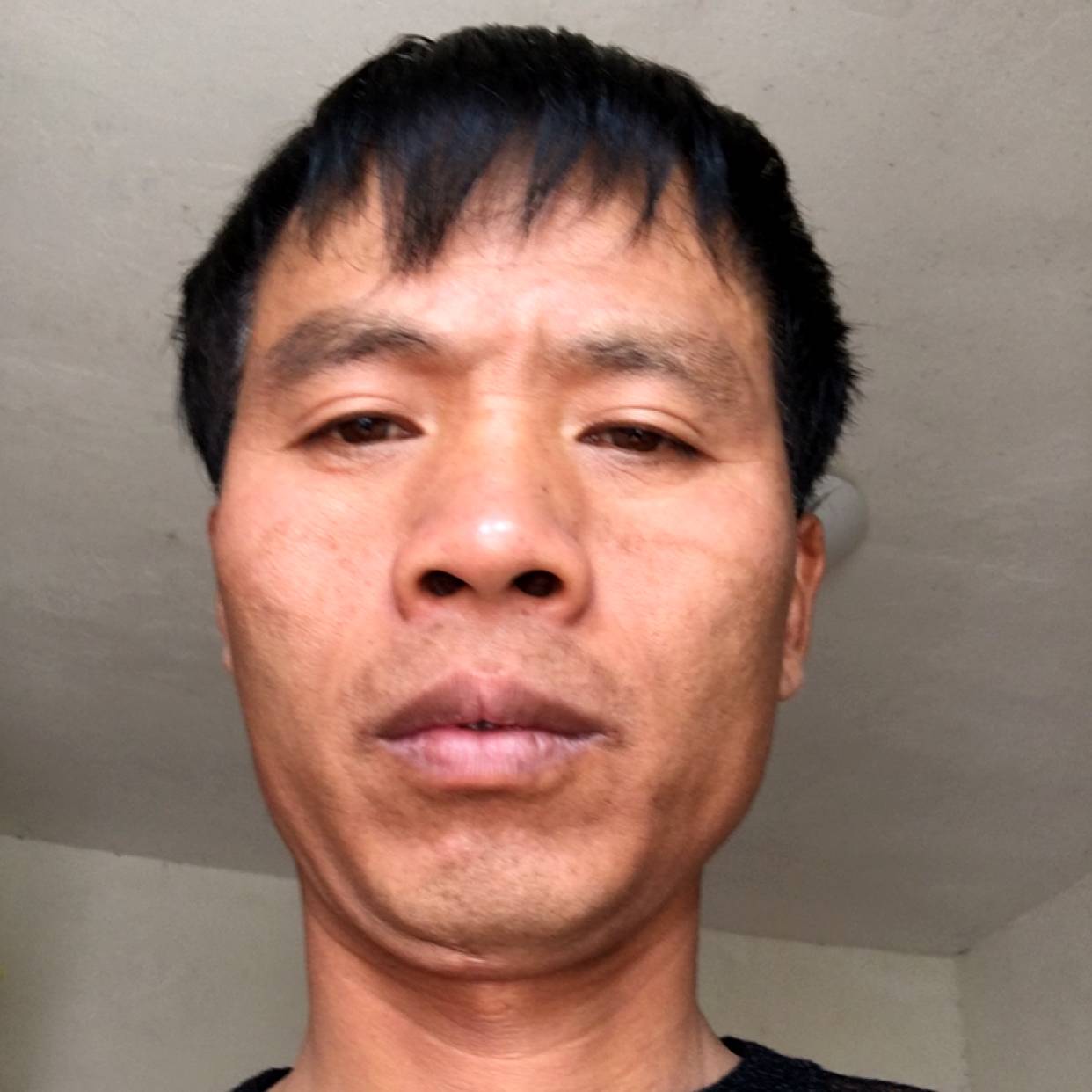 淡淡笑洛尘的照片