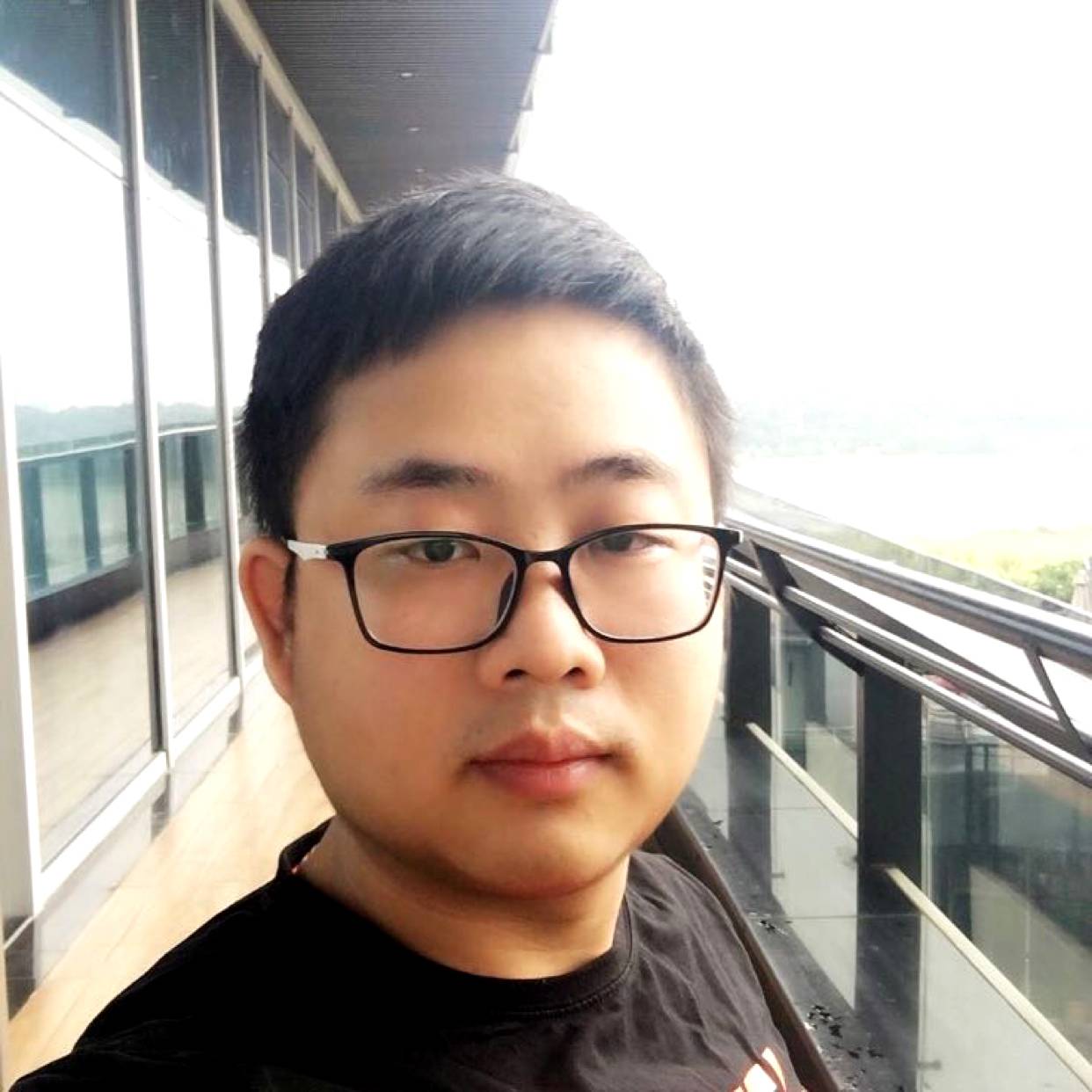 虚心停止洋葱的照片