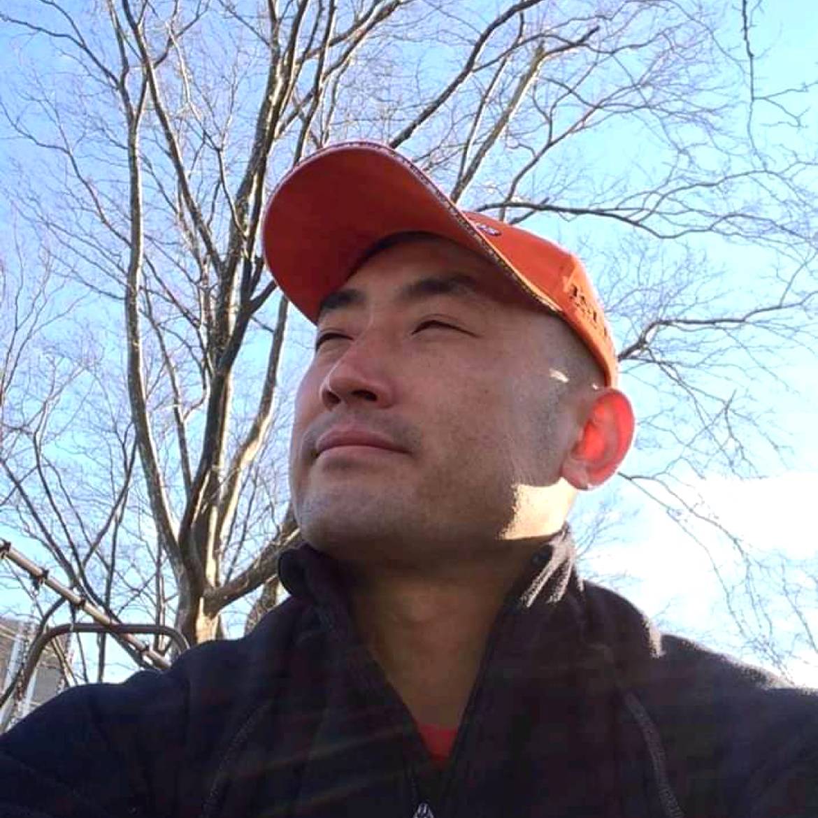择日绽放的照片