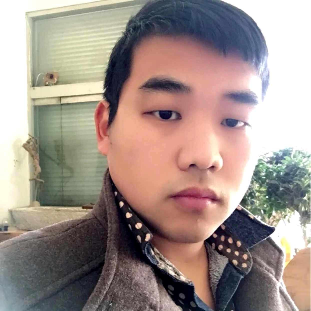 社会你鹏哥的照片