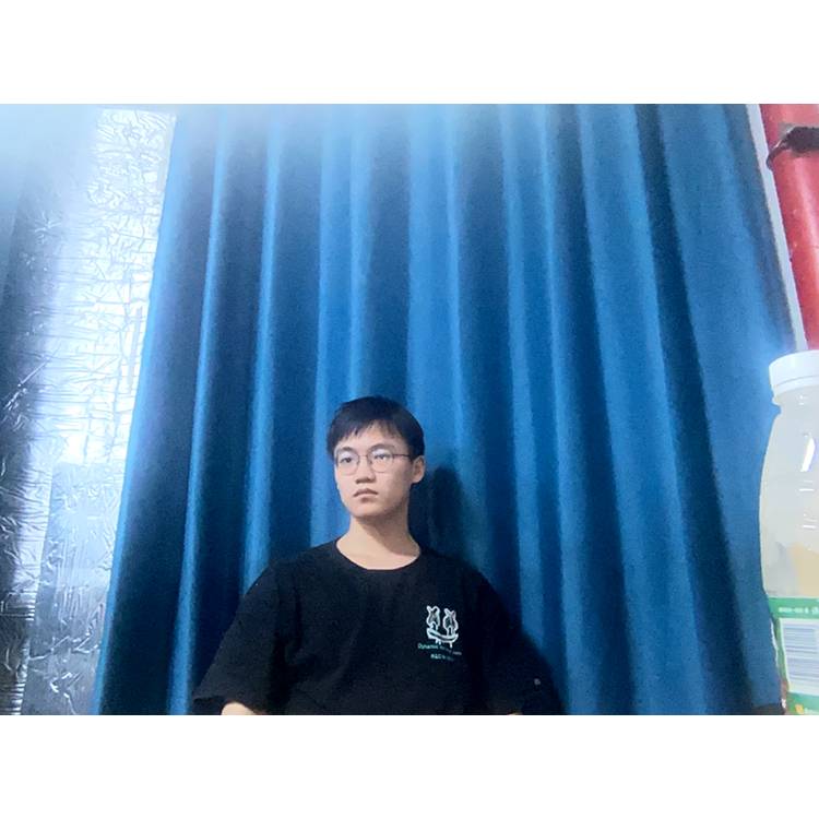 错落拿仙人掌的照片