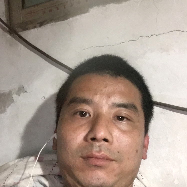 波儿子的照片