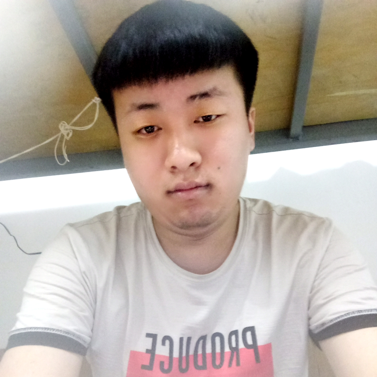 小猫咪闻无情的照片