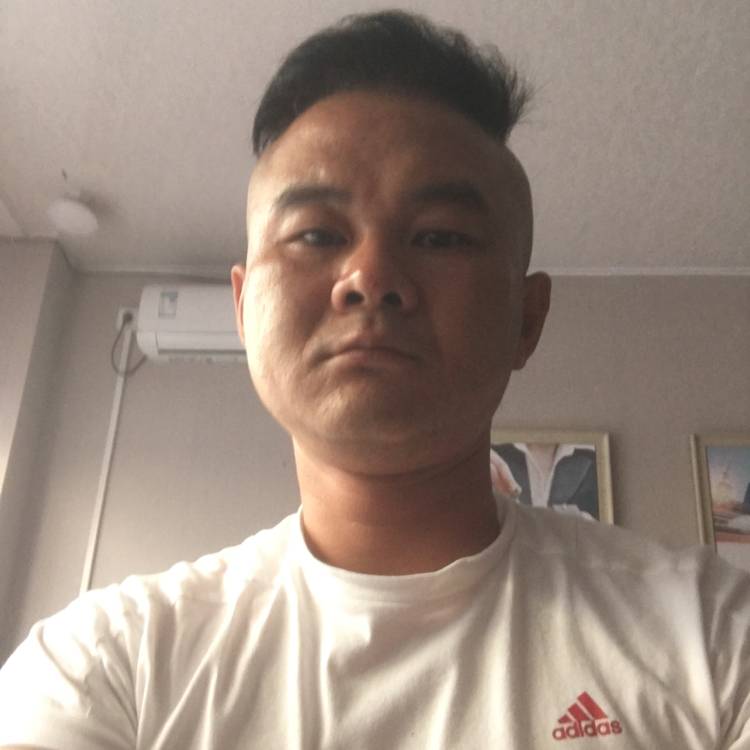 小兔子浅吻疯狂的照片