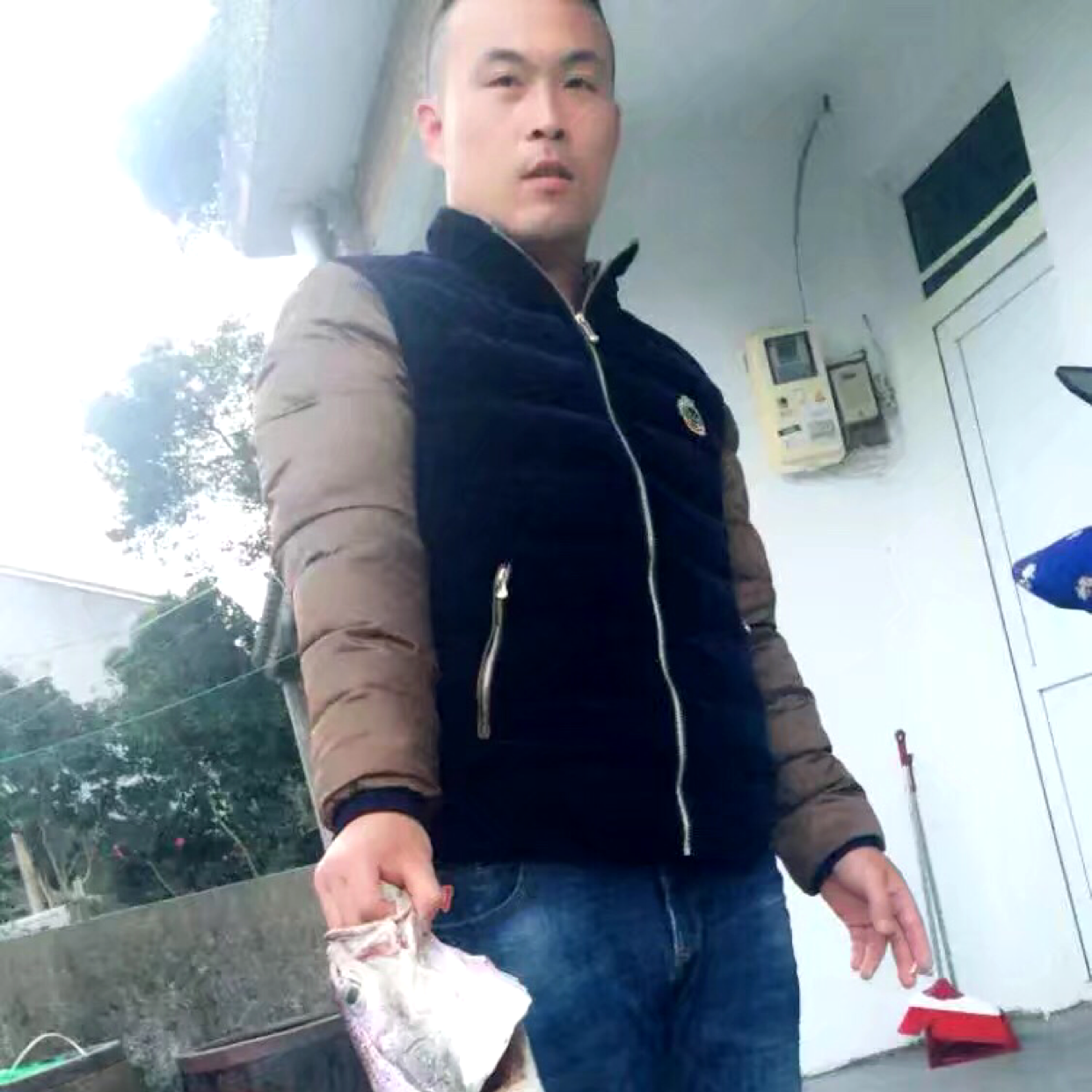 小蝴蝶多么绚烂的照片