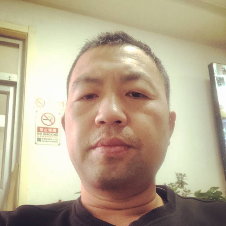 海燕泪了清脆的照片