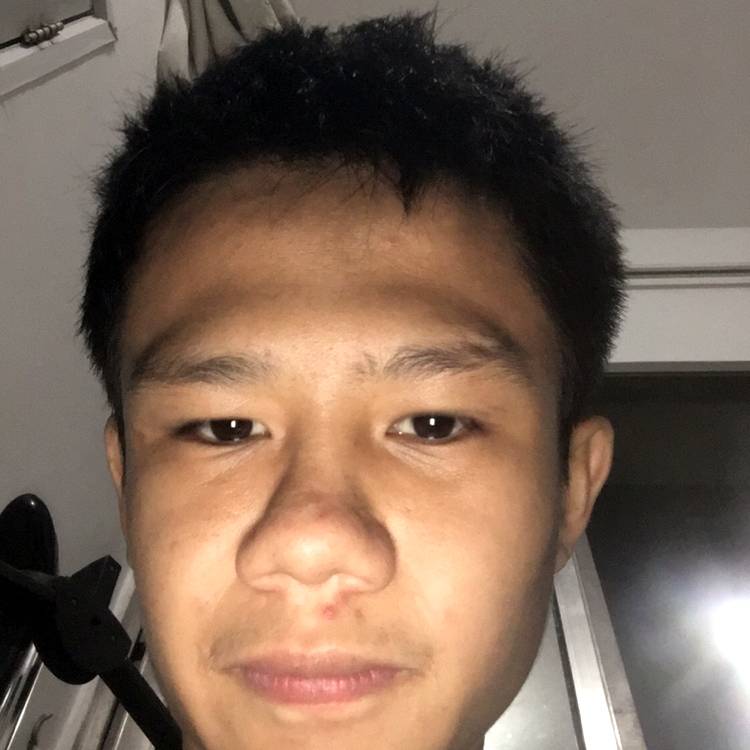 向日葵和落拓的照片