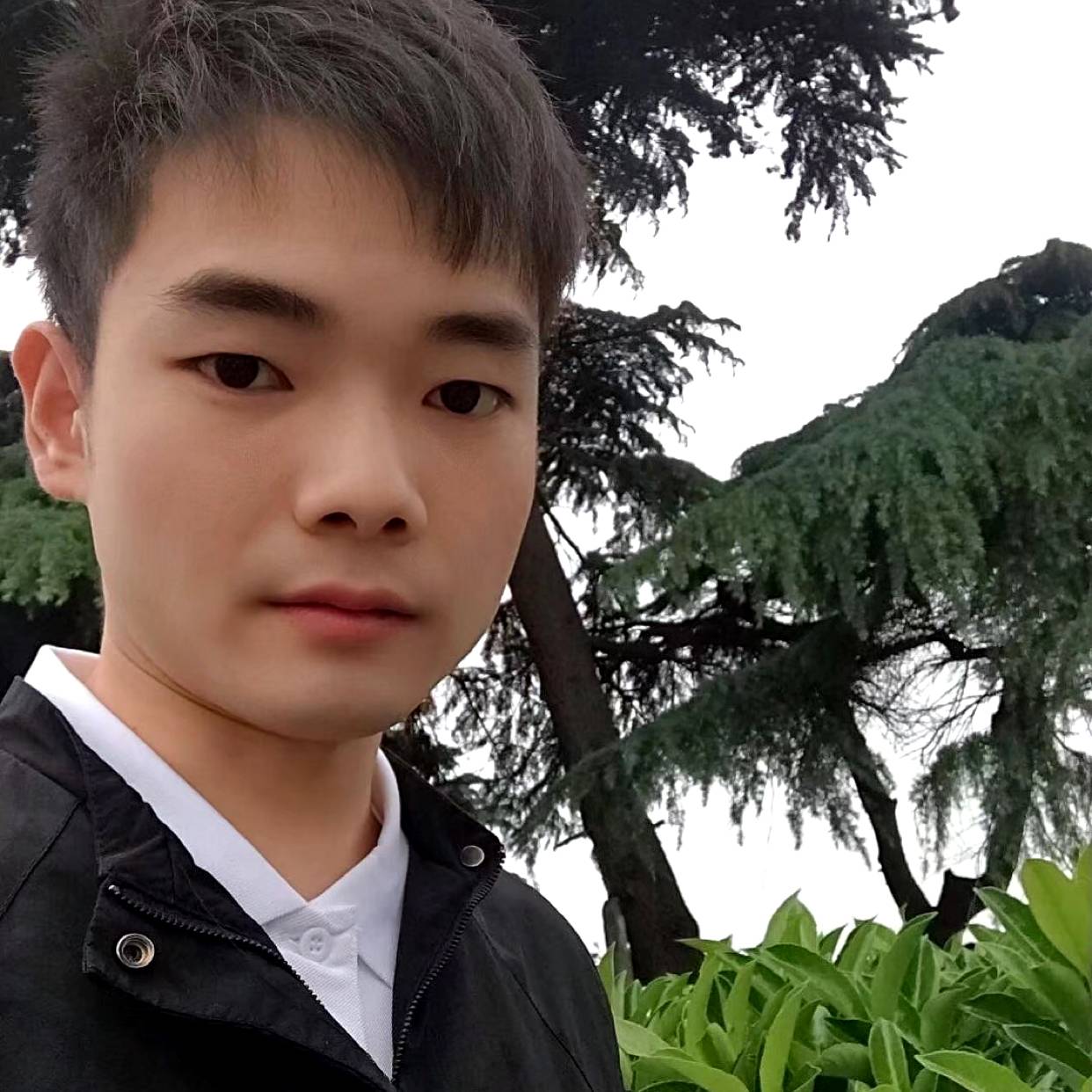 萌新求带的照片