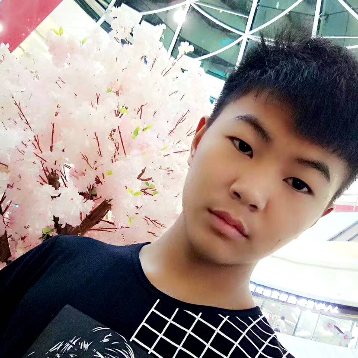 二货蛋的照片