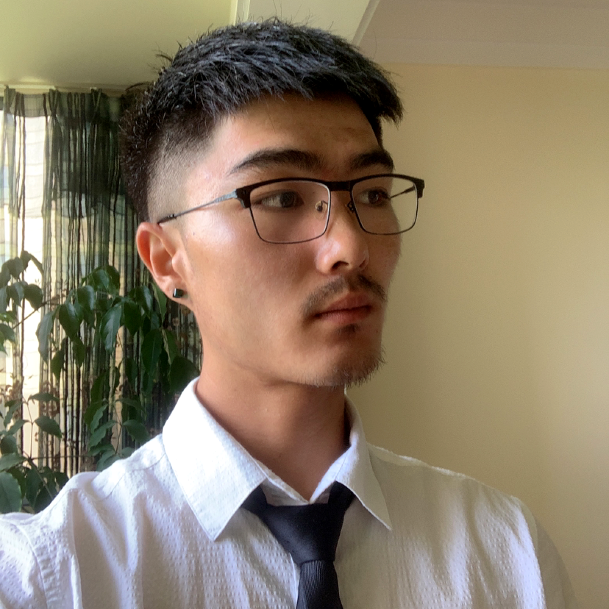 小布点的快乐的照片