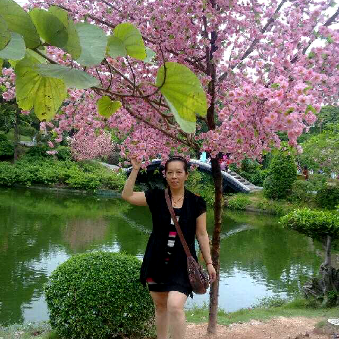 季节秀丽的照片