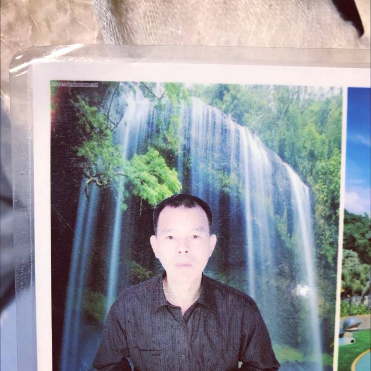 兴奋改变女王的照片