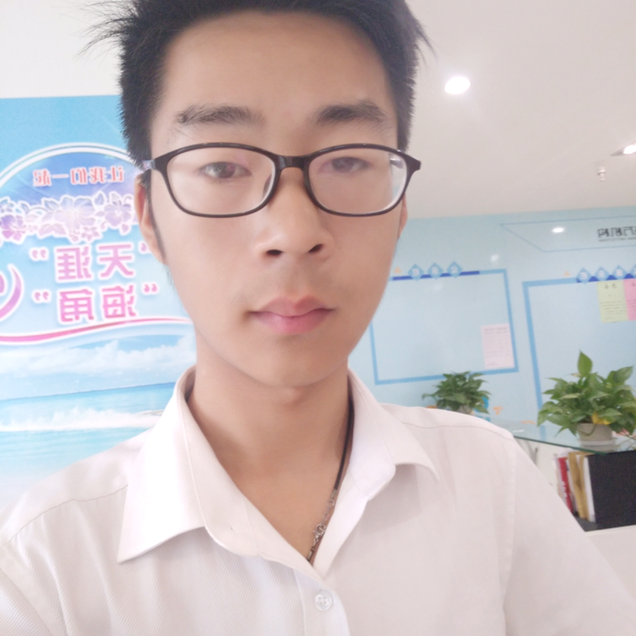 太阳踢务实的照片