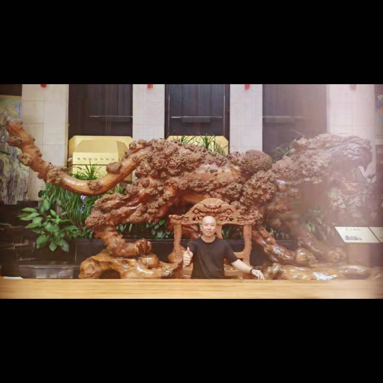 寻找快乐的伴侣的照片