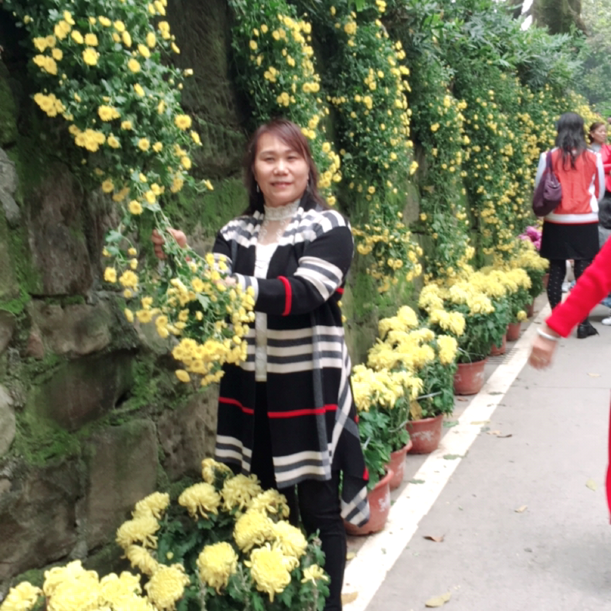 爱撒娇的小兔子的照片
