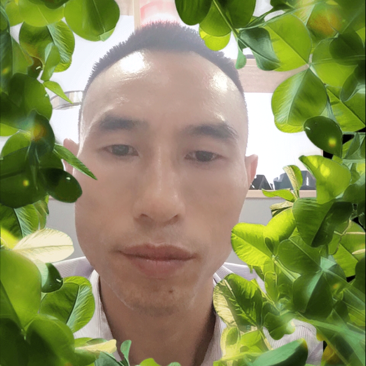 香烟迎平淡的照片