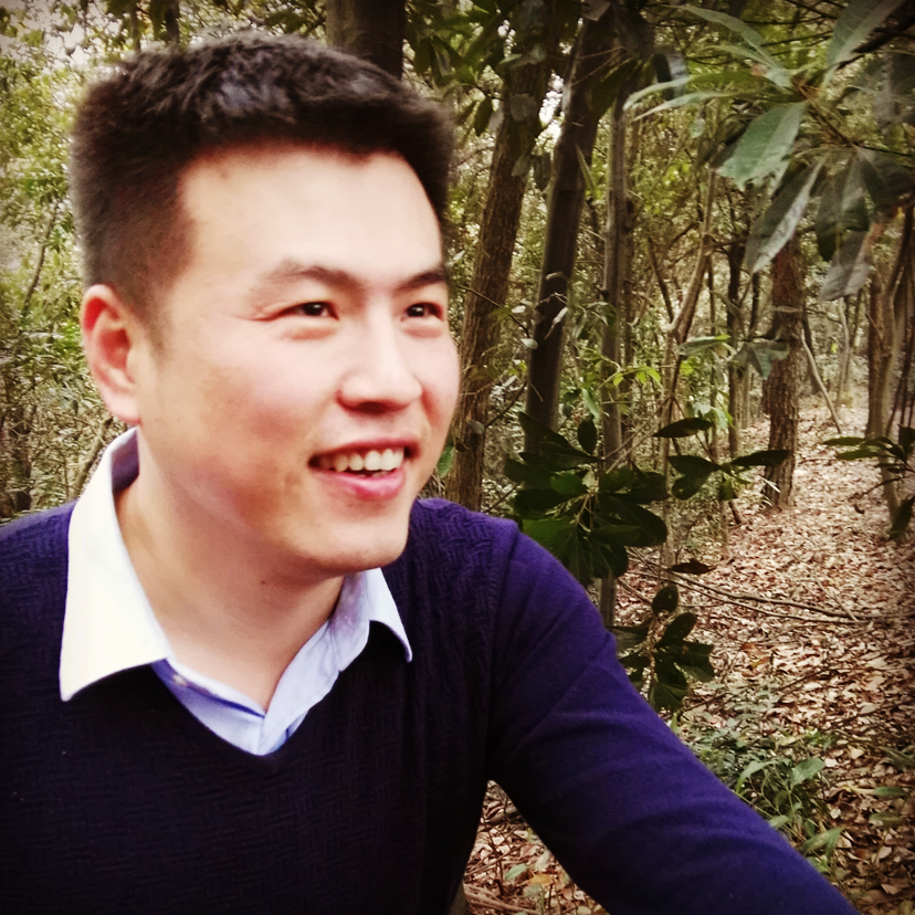 我是一只小小鸟。的照片