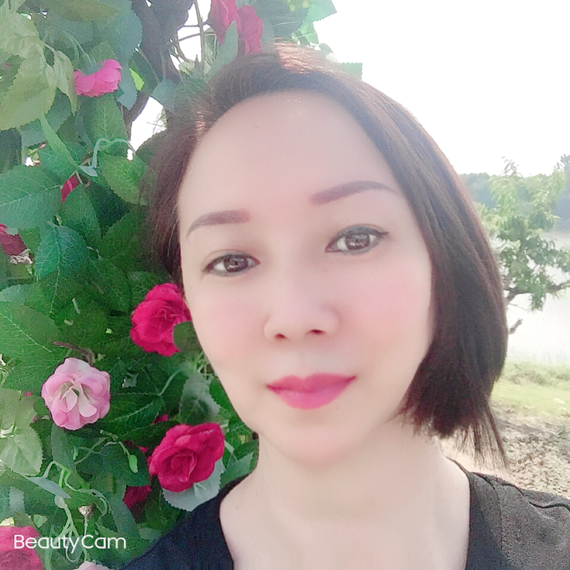 忧伤给荷花的照片